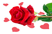 English Valentine’s Poems