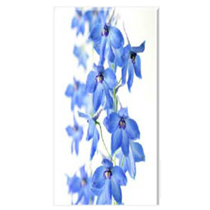 Delphinium I Stretched Canvas by Celia Henderson LPRS