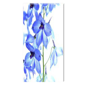 Delphinium II Stretched Canvas by Celia Henderson LRPS