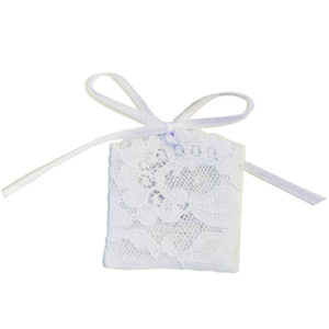 English Trousseau Lucky Wedding Sixpence and Nottingham Lace Bag
