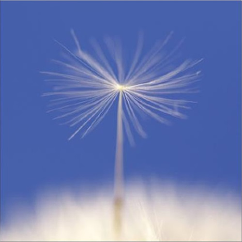 Celia Henderson Time Piece Fine Art Print