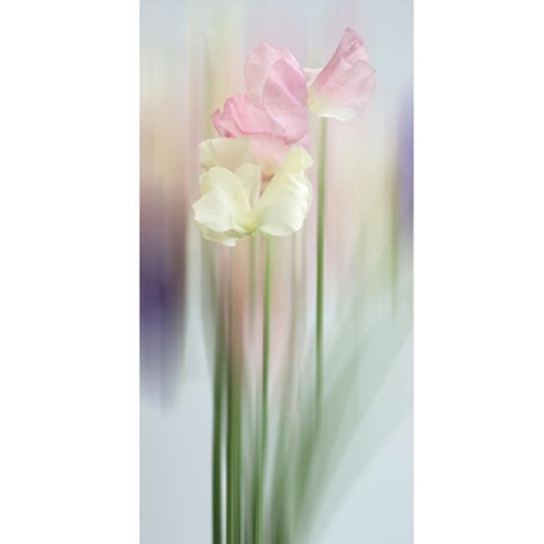 Celia Henderson Sweet Pea Dancing Queens Fine Art Print