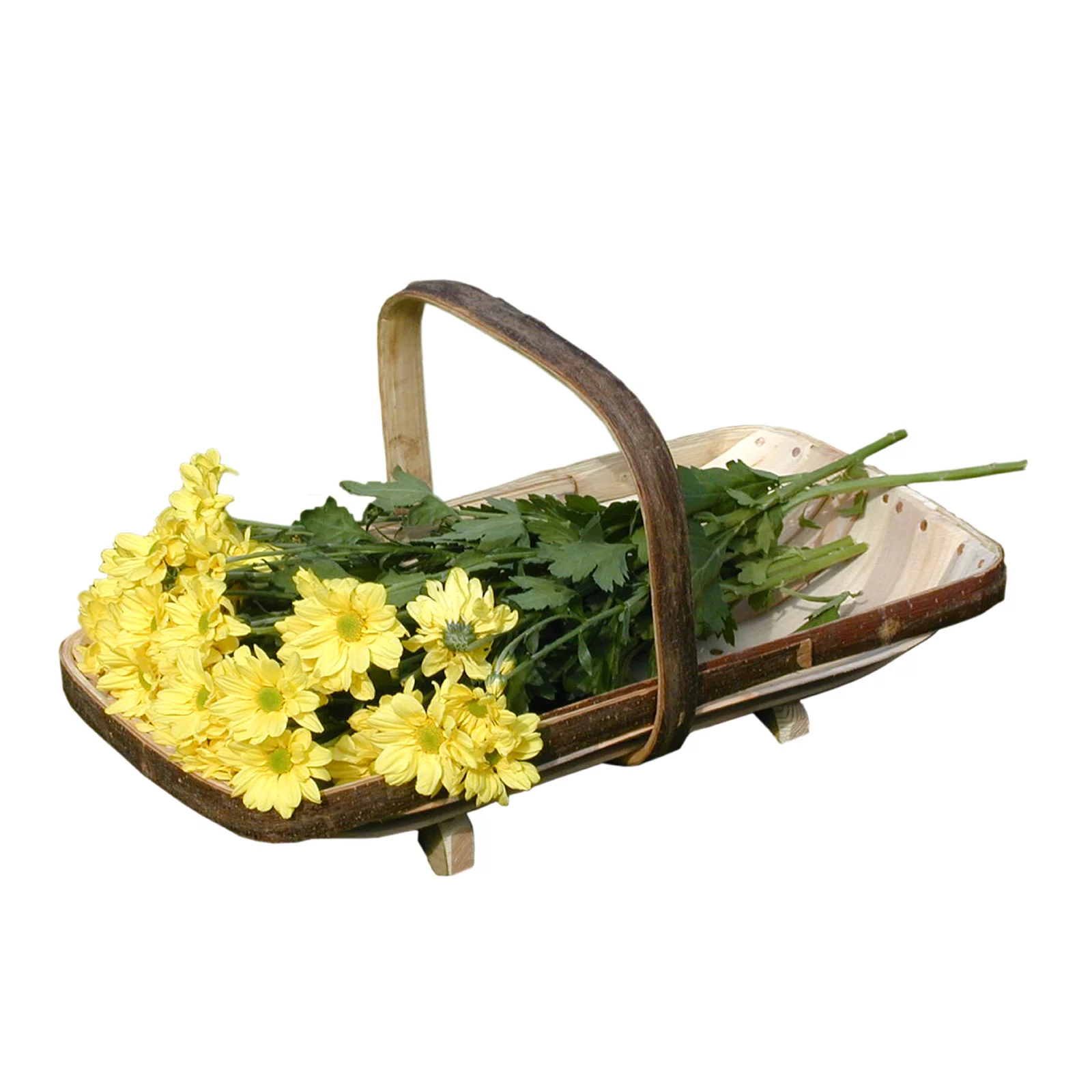 The Royal Sussex Flower Trug Size 2