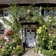 English Country Garden