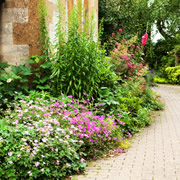 Image of an English Country Garden, Flowers around a house