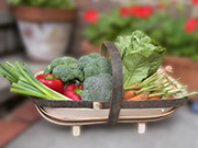 Royal Sussex Vegetable Trug by The Cuckmere Trug Company