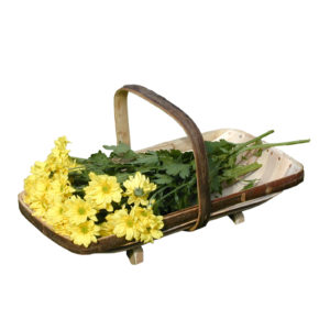 The Royal Sussex Trug - Flower Trugs Size 2