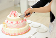 Bride and groom cutting the wedding cake