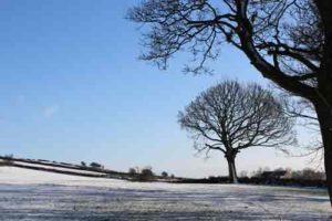 Derbyshire Gentle Slopes and Trees in the Snow