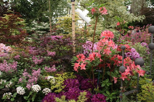 RHS Chelsea Flower Show Designer Garden in Lilac and Pink