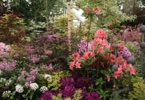 RHS Chelsea Flower Show Designer Garden Purples and Peach Colours