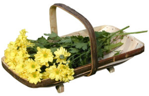 Royal Sussex Flower Trug