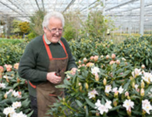 Ricky Dorlay, Master Plantsman and winner of 51 gold medals at RHS Chelsea Flower Show