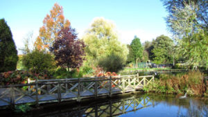 A View of The Trout Farm Bibury