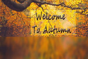 Autumn Colours for Website Home Page