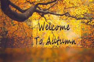 Autumn Colours for Website Home Page