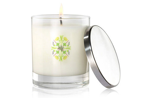 Lemongrass & Mint Luxury Candle by Summerdown Mint