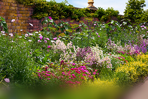 An English Country Garden